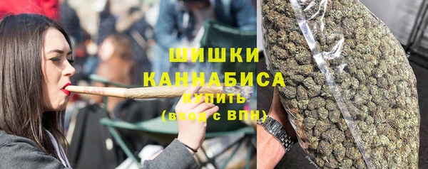 МДПВ Тында
