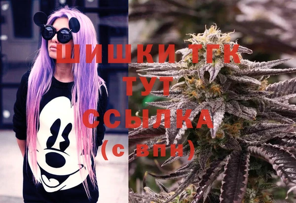 a pvp Туринск