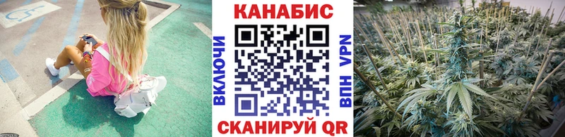 Купить закладки  Кемь  Марихуана конопля 